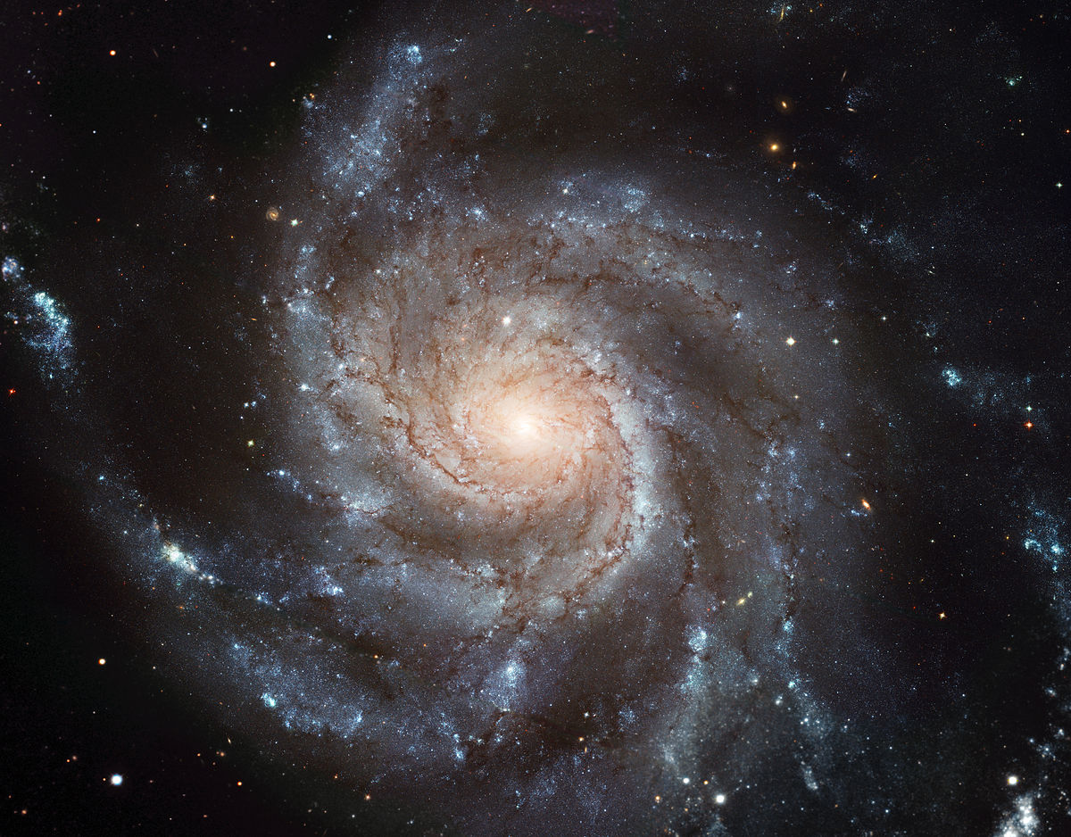 M101